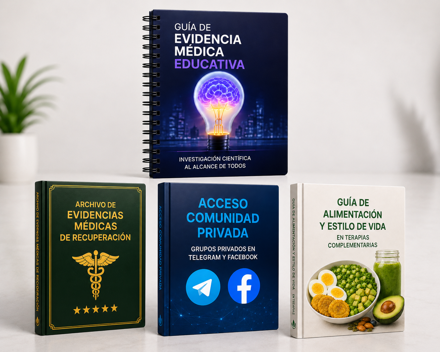 Mockup completo: Guía de Evidencia Médica Educativa, Archivo, Comunidad y Alimentación